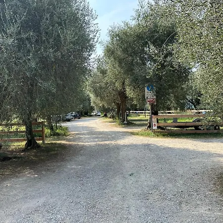 Torbole Torbole Sul Garda